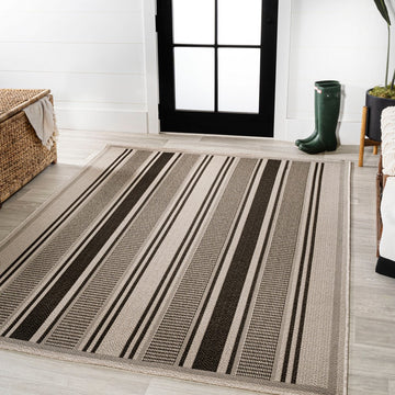 Haynes Modern Double Stripe Indoor/outdoor Area Rug